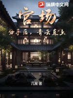 《官场：分手后，青云直上》