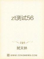 《zt测试56》