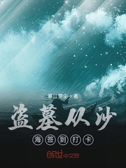 《盗墓从沙海签到打卡》