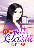 《我的极品美女总裁》